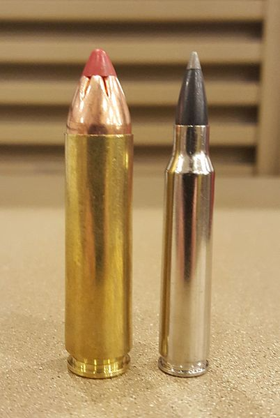 .450 Bushmaster (left), .223 Remington (right)