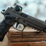 Sig P226 XFIVE Legion profile