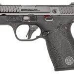 Smith & Wesson Bodyguard 2.0