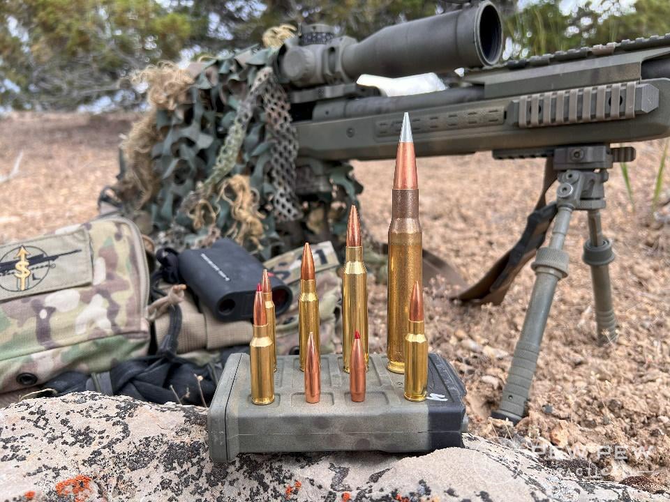 Long Range Cartridges
