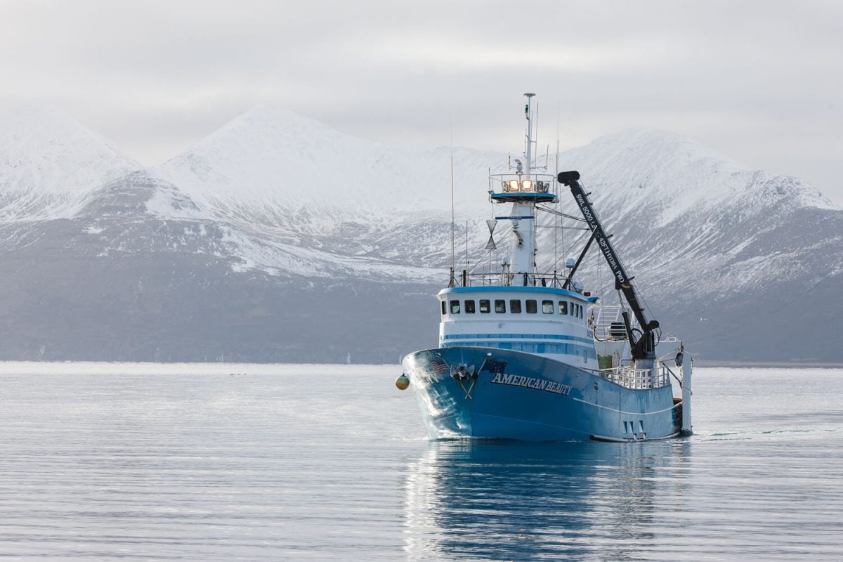 Alaska pollock fishery, Bering Sea, F/V American Beauty, King Cove