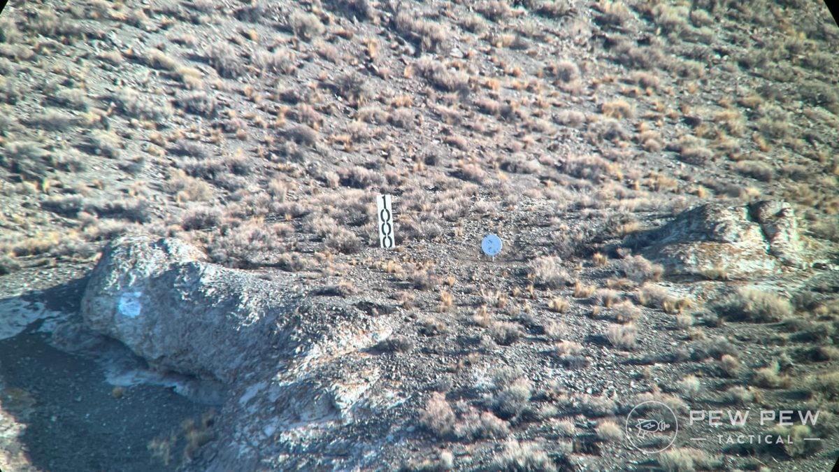 Zeiss Victory Harpia 85 at 1,000 yds