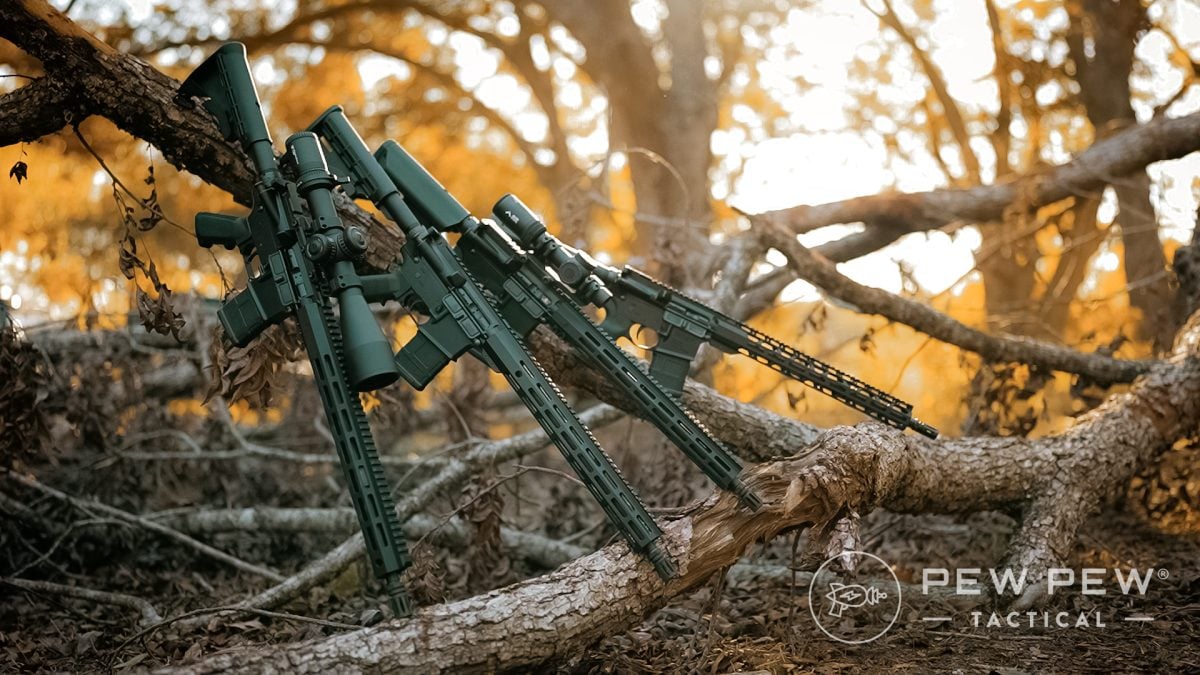 Budget AR-15s - General glamour