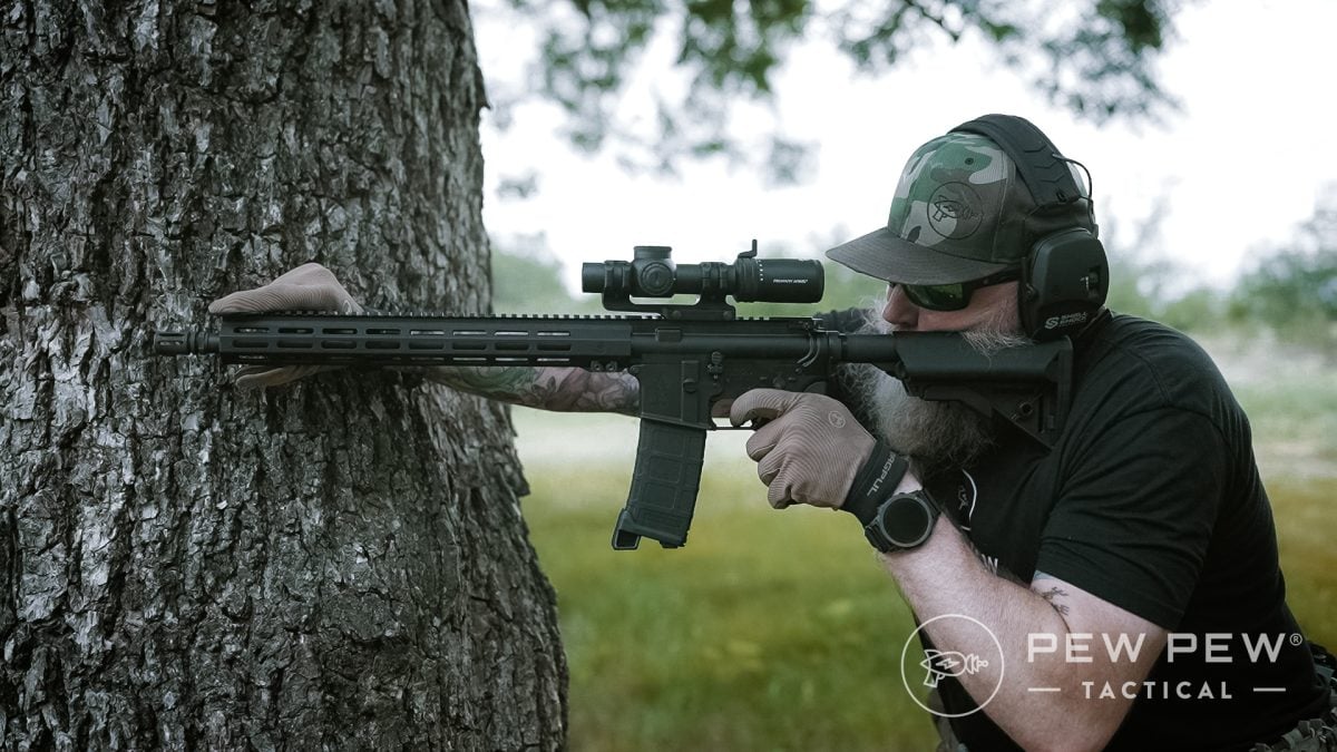 Budget AR-15s - IWI Zion-15 Sean tree