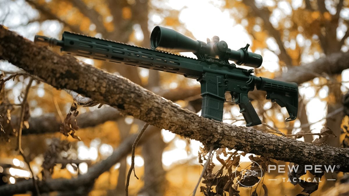 Budget AR-15s - PSA PA-15