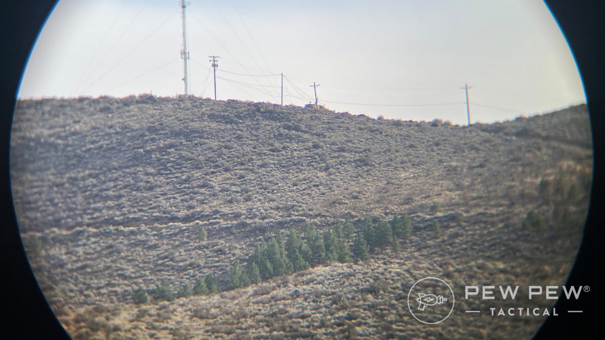 Vortex Triumph HD 10x42