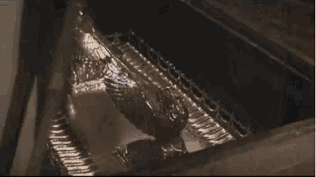 Indiana Jones storage crate