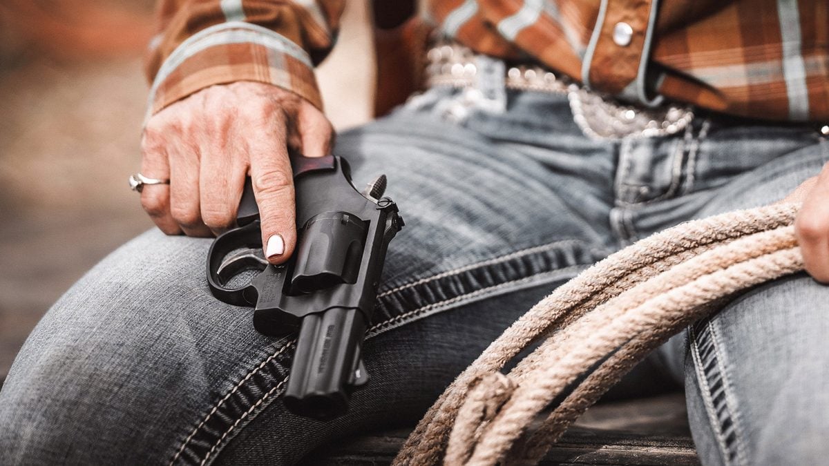 Smith & Wesson Performance Center Model 19 Carry Comp