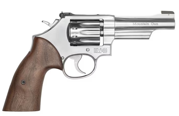 Smith & Wesson 617 Mountain Gun