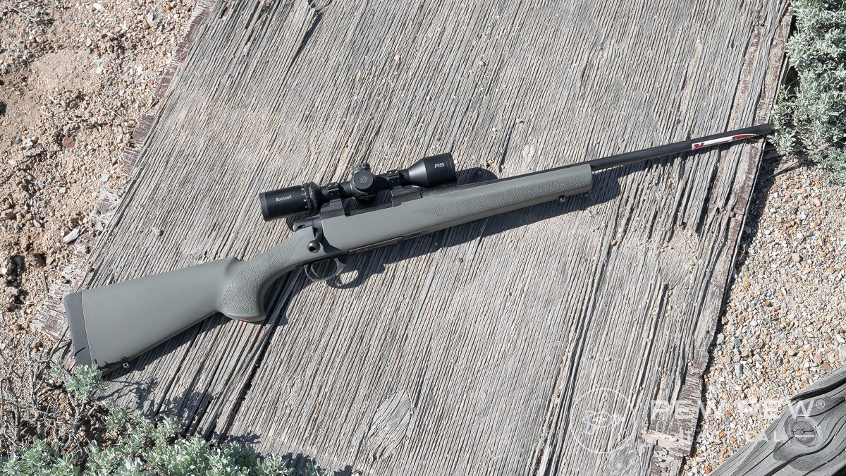 Howa 1500 Hogue