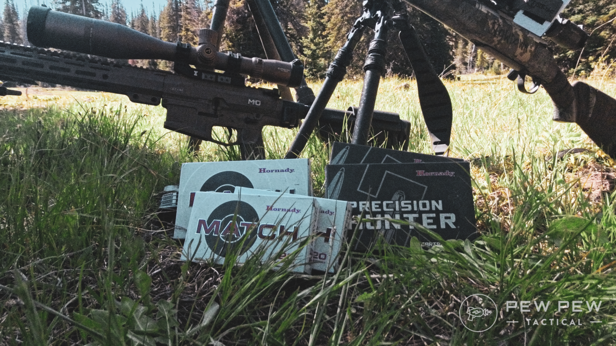 Hornady ELDM, Precision Hunter